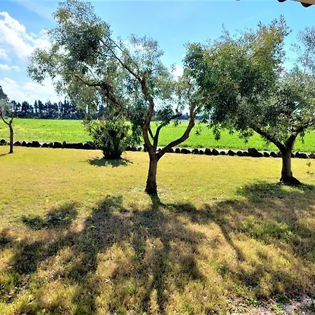 Sisula Manna * אורוסיי