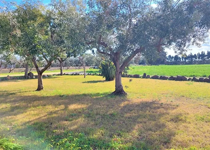 Sisula Manna * Орозеи