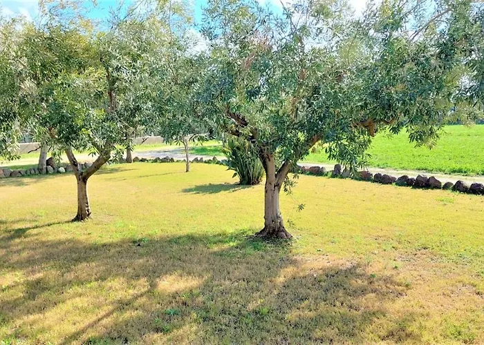 Sisula Manna * Орозеи